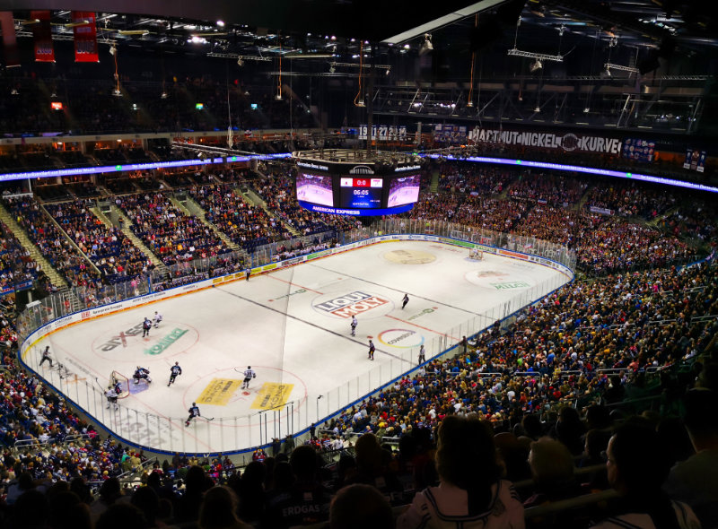 Game Crowd Ambience Sound Effects - French Hockey